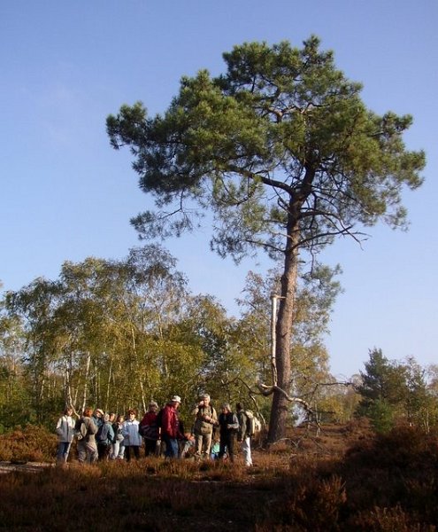 2007 10 Bois de Rochefort 16